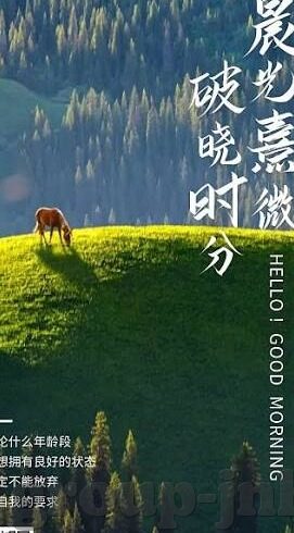 27号足球比分-27号足球比分，绿茵场上的激情与悬念交织之夜