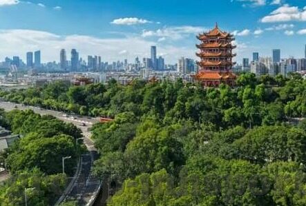 足球比分手即时网-足球与情感，当绿茵场的激情碰撞分手的苦涩，谁更即时？
